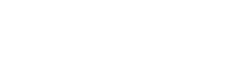 PARTNERS in EXCELLENCE